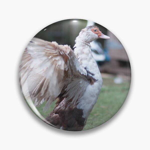 Item preview, Flapping Muscovy Duck  designed and sold by Hallswood.