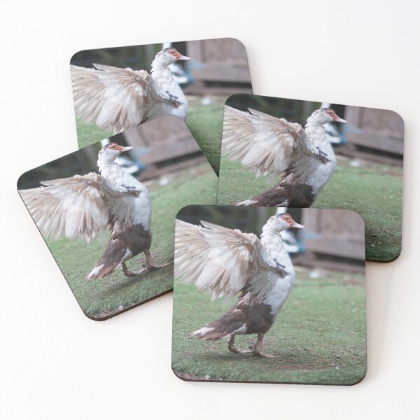 Item preview, Flapping Muscovy Duck  designed and sold by Hallswood.