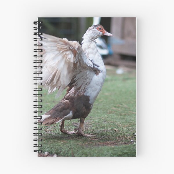 Item preview, Flapping Muscovy Duck  designed and sold by Hallswood.