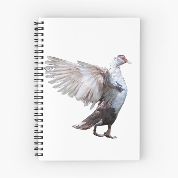 Item preview, Muscovy Duck  designed and sold by Hallswood.