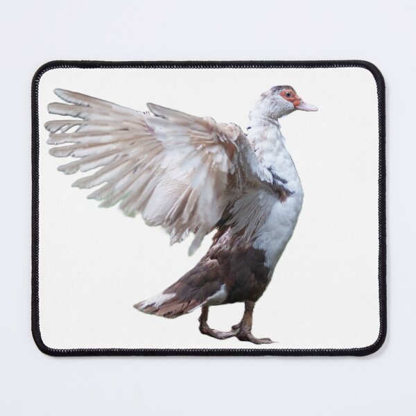 Item preview, Muscovy Duck  designed and sold by Hallswood.