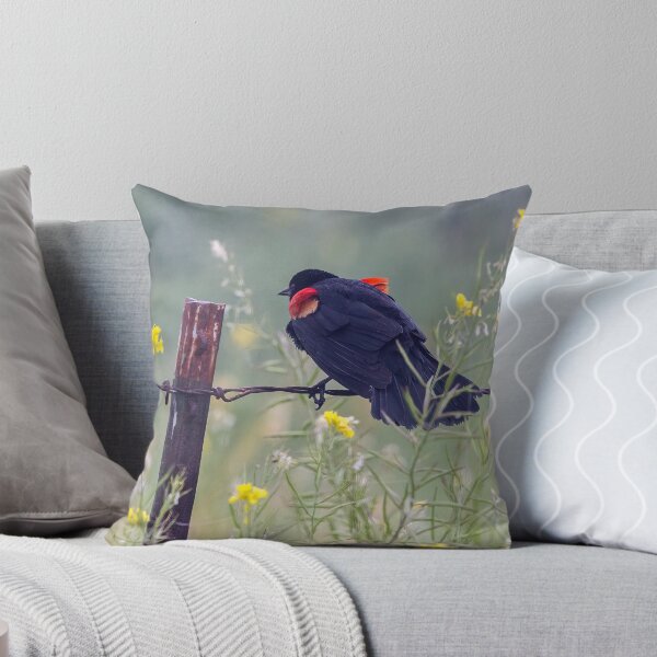 Item preview, Red Winged Blackbird on the Fence designed and sold by CarolM.