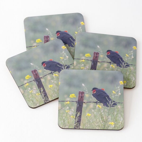 Item preview, Red Winged Blackbird on the Fence designed and sold by CarolM.