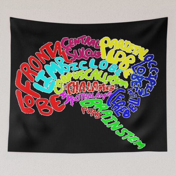 Item preview, ColourfulBrainDiagram designed and sold by NeuroNotes.