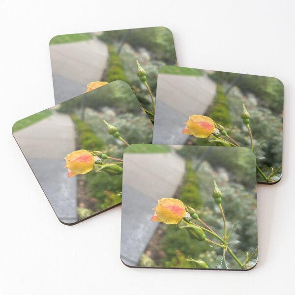 Item preview, Yellow rose bud designed and sold by vasi imagery.