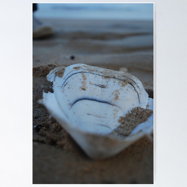 Item preview, Cuttle Fish designed and sold by Kim Ball.