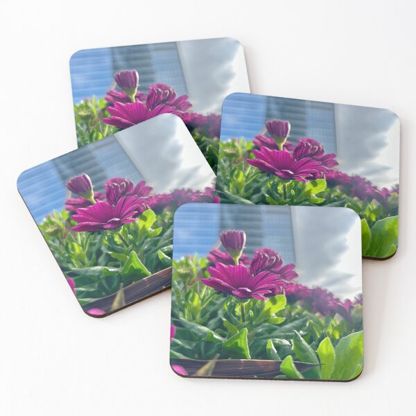 Item preview, Mums stand tall in Chicago skyrise shadows designed and sold by vasi imagery.