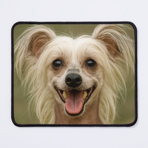 Item preview, Chinese Crested Dog designed and sold by BackgroundND.