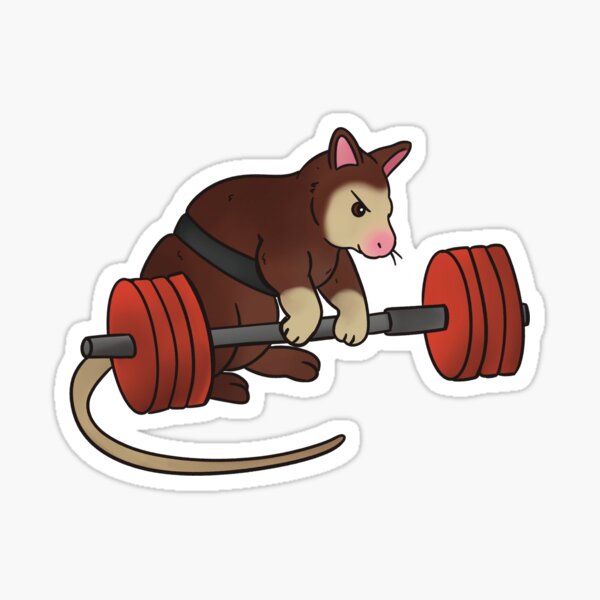 Item preview, Deadlift Tree Kangaroo designed and sold by lifesacockatoo.