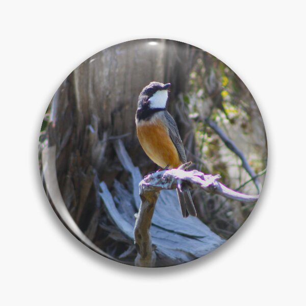 Item preview, Rufous Whistler designed and sold by Captured-Adventures11.