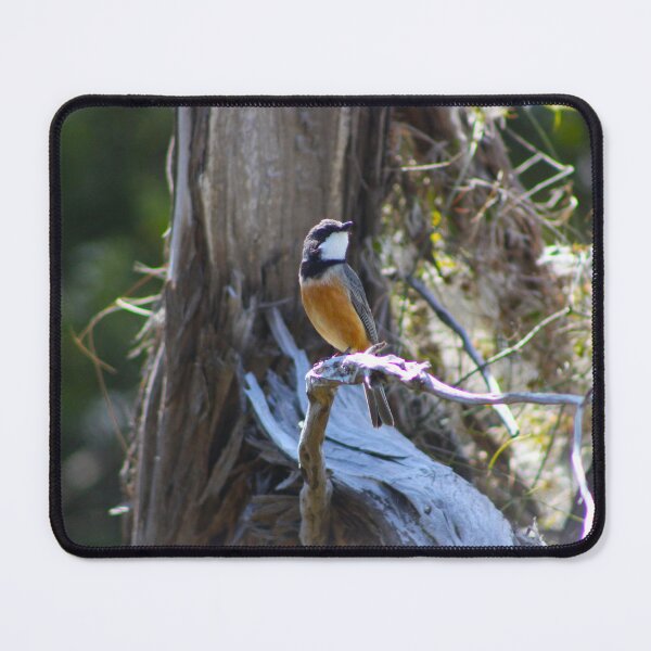 Item preview, Rufous Whistler designed and sold by Captured-Adventures11.