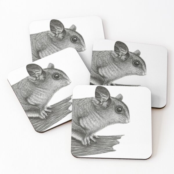 Item preview, Australian Wildlife Squirrel Glider  designed and sold by Kayla Outhred Artist .