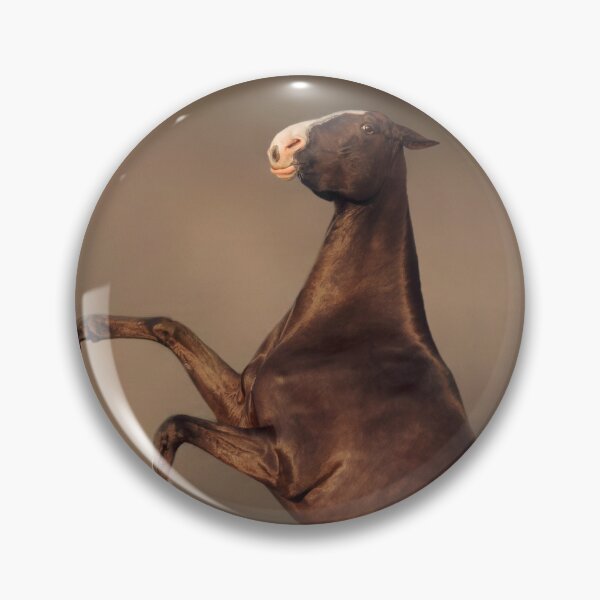 Item preview, Achal-teke horse studio photo designed and sold by Julia Shepeleva.