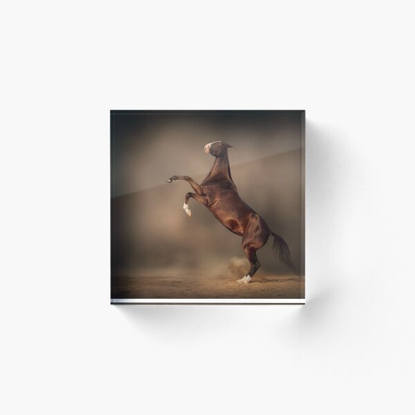 Item preview, Achal-teke horse studio photo designed and sold by Julia Shepeleva.