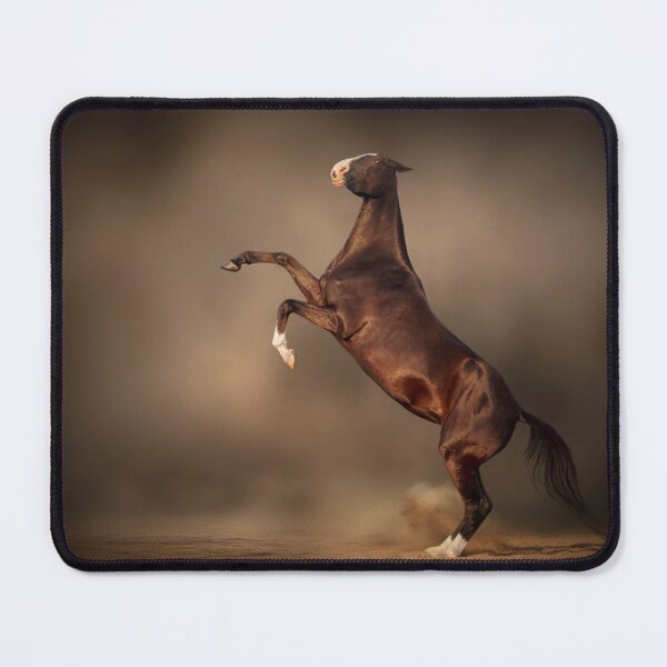 Item preview, Achal-teke horse studio photo designed and sold by Julia Shepeleva.