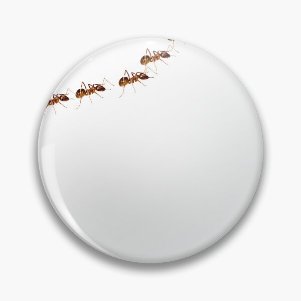Item preview, Ant Trail Walking Across Shirt – Nature & Prank Style designed and sold by Apple-Design369.