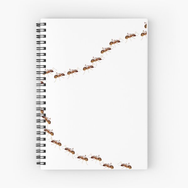 Item preview, Ant Trail Walking Across Shirt – Nature & Prank Style designed and sold by Apple-Design369.