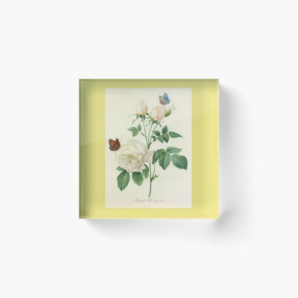 Item preview, Pierre-Joseph Redouté: designed and sold by Tridentulus.