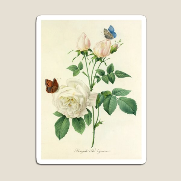 Item preview, Pierre-Joseph Redouté: designed and sold by Tridentulus.