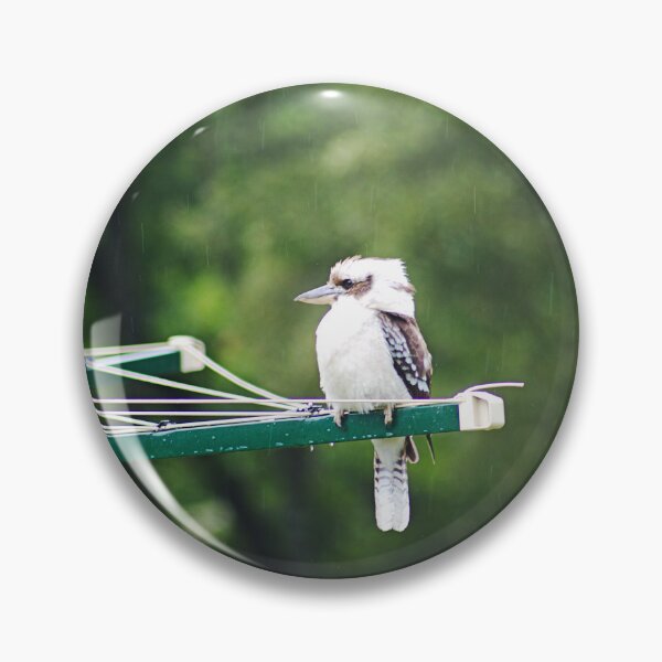 Item preview, Kookaburra Perched on a Clothesline designed and sold by Joy Watson - Natural Light Photography .