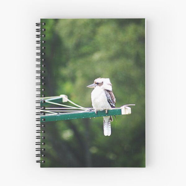Item preview, Kookaburra Perched on a Clothesline designed and sold by Joy Watson - Natural Light Photography .