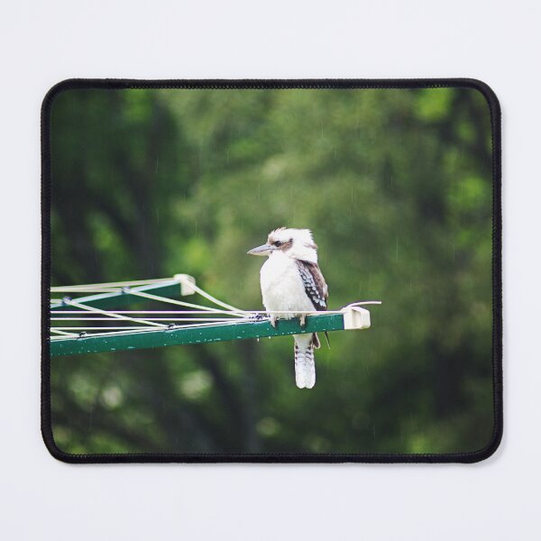Item preview, Kookaburra Perched on a Clothesline designed and sold by Joy Watson - Natural Light Photography .