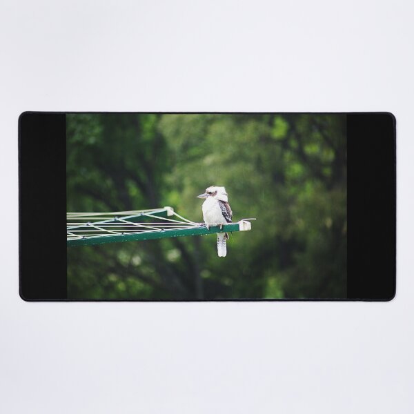 Item preview, Kookaburra Perched on a Clothesline designed and sold by Joy Watson - Natural Light Photography .