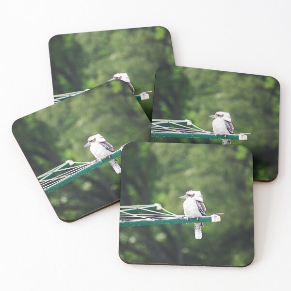 Item preview, Kookaburra Perched on a Clothesline designed and sold by Joy Watson - Natural Light Photography .