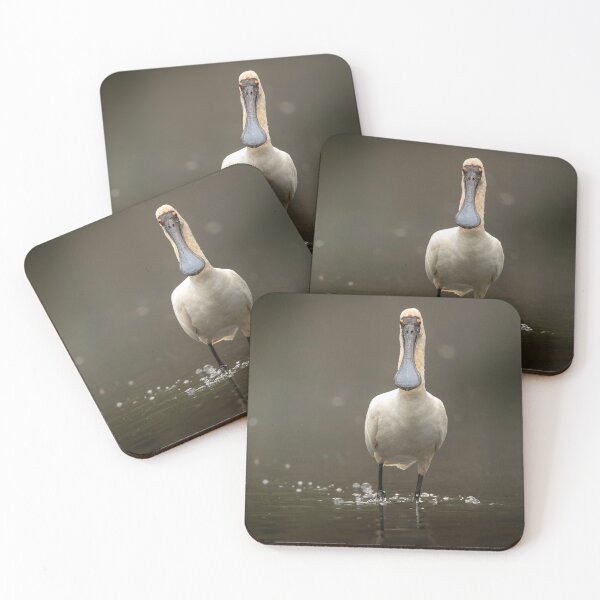 Item preview, Royal Spoonbill Bird designed and sold by robdwildlife.