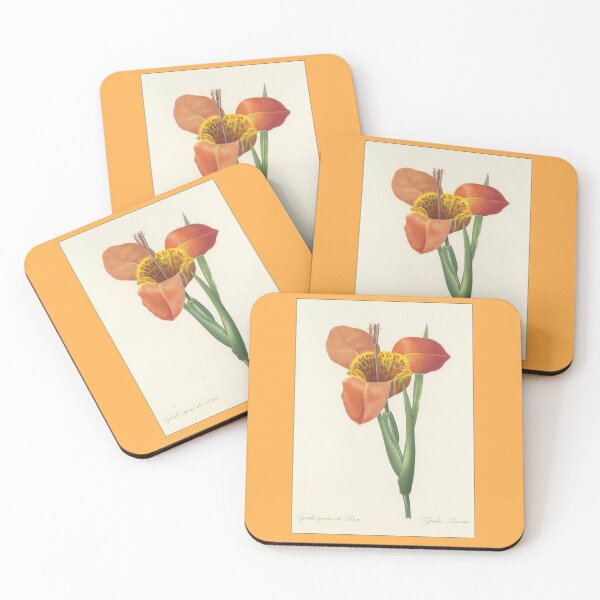 Item preview, Pierre-Joseph Redouté: Tigridia Pavonia designed and sold by Tridentulus.