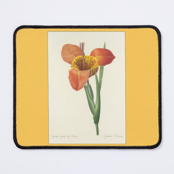 Item preview, Pierre-Joseph Redouté: Tigridia Pavonia designed and sold by Tridentulus.
