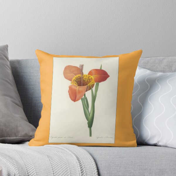 Item preview, Pierre-Joseph Redouté: Tigridia Pavonia designed and sold by Tridentulus.
