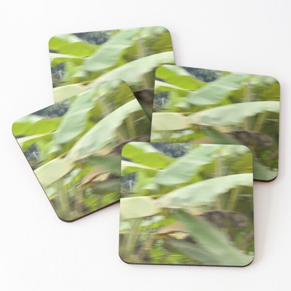 Item preview, Where the Road Meets the Jungle – Vietnam in Motion designed and sold by Picture This Images.