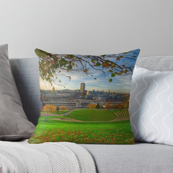 Item preview, Sheffield South Street Park designed and sold by Alisonchambers2.