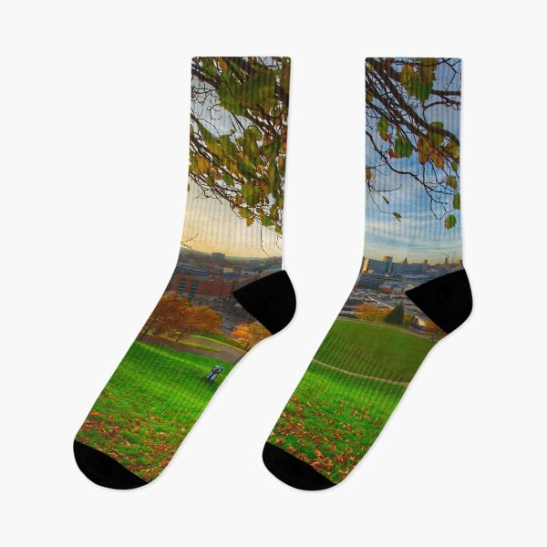 Item preview, Sheffield South Street Park designed and sold by Alisonchambers2.