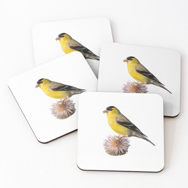 Item preview, Goldfinch Resting on a Crown of Thorns designed and sold by laguitan10.