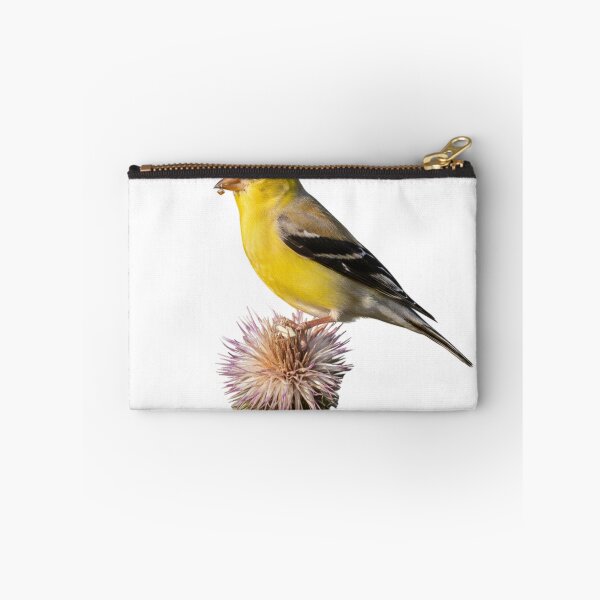 Item preview, Goldfinch Resting on a Crown of Thorns designed and sold by laguitan10.