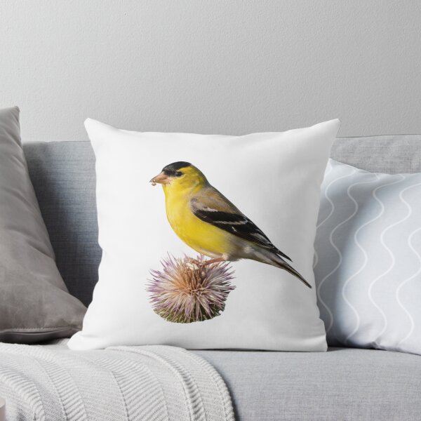 Item preview, Goldfinch Resting on a Crown of Thorns designed and sold by laguitan10.