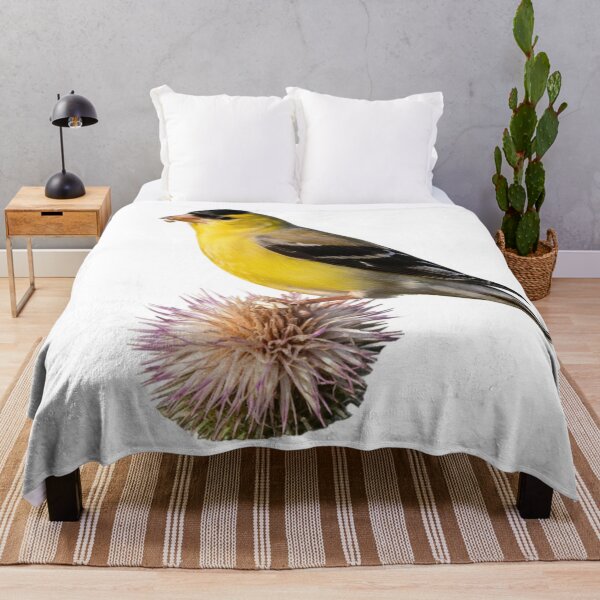 Item preview, Goldfinch Resting on a Crown of Thorns designed and sold by laguitan10.