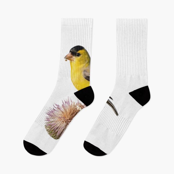 Item preview, Goldfinch Resting on a Crown of Thorns designed and sold by laguitan10.