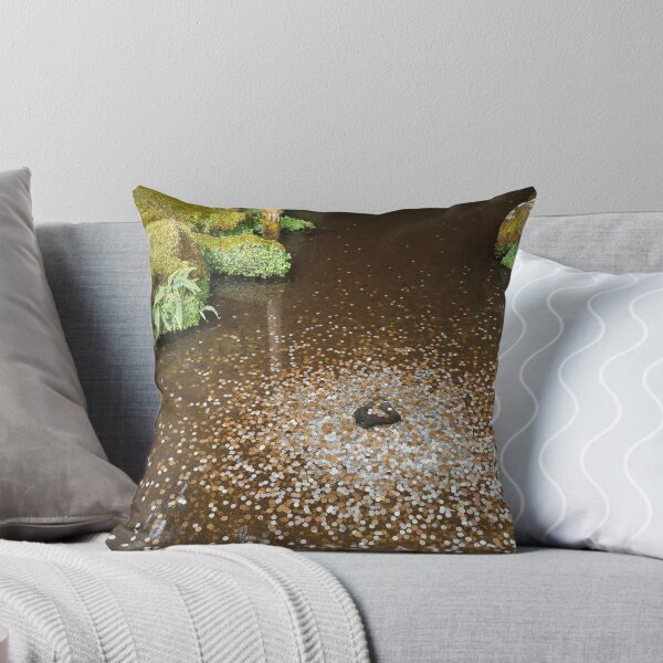 Item preview, Lucky coins in the Temple Pond, Ginkaku-ji TempleKyoto, Japan. Original photography designed and sold by studio838.