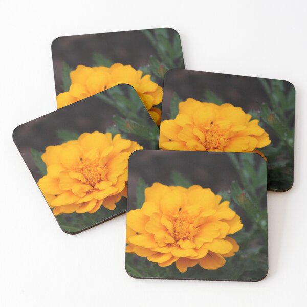 Item preview, The Flowers in the Garden designed and sold by MCookCreates.