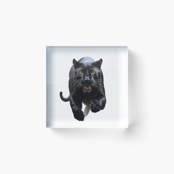 Item preview, Black Panther in Motion – Power and Precision designed and sold by Eylali.