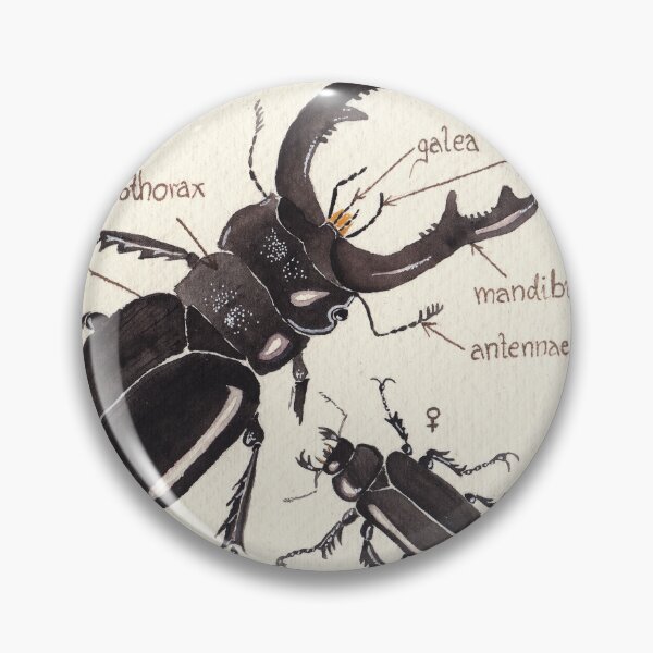 Item preview, Rhinoceros beetle vintage watercolor designed and sold by veroslawa.