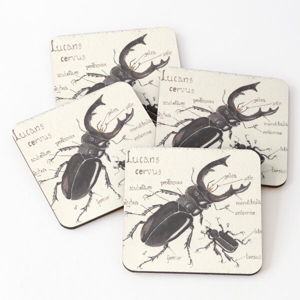 Item preview, Rhinoceros beetle vintage watercolor designed and sold by veroslawa.