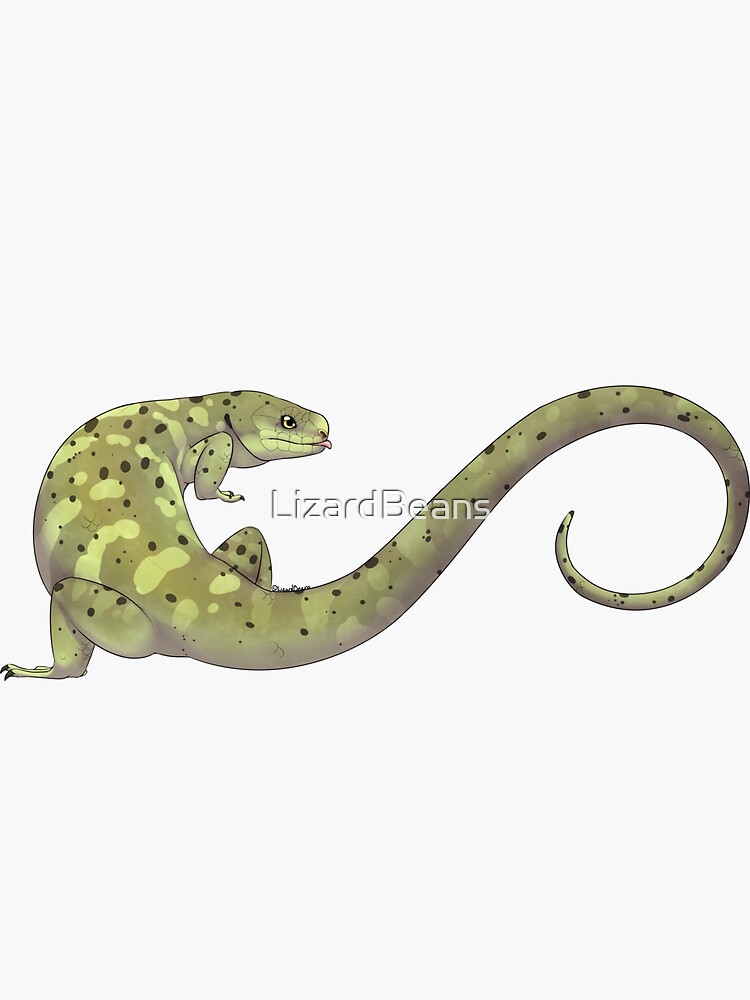 Thumbnail 3 of 3, Sticker, Prehensile-tailed Skink designed and sold by LizardBeans.