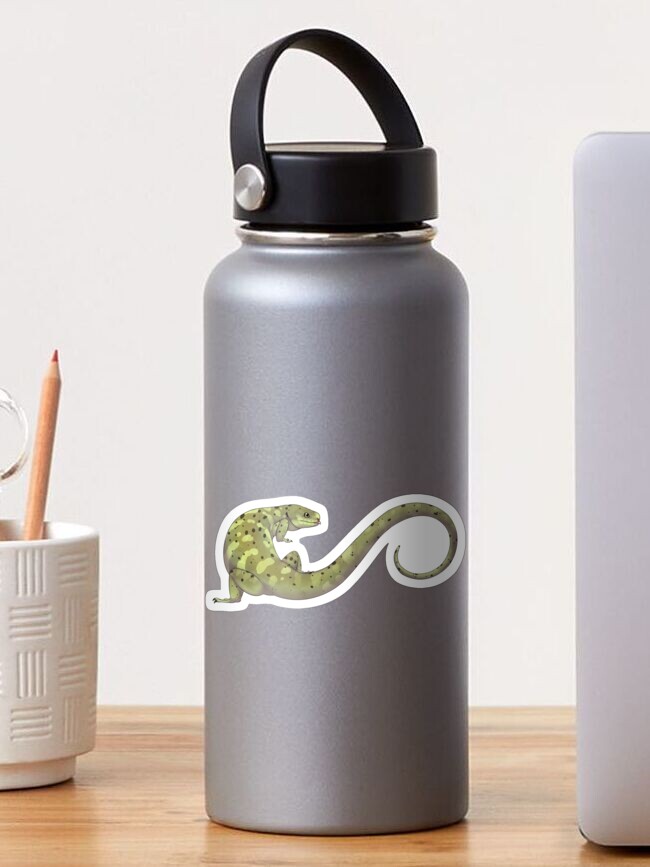 Thumbnail 1 of 3, Sticker, Prehensile-tailed Skink designed and sold by LizardBeans.