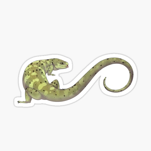 Item preview, Prehensile-tailed Skink designed and sold by LizardBeans.