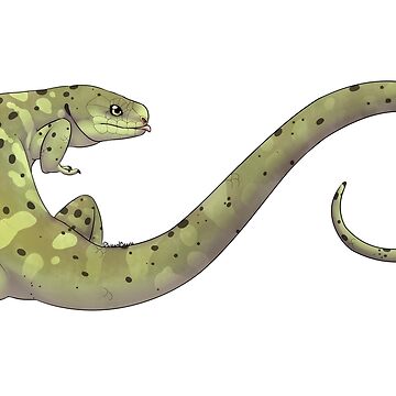 Artwork thumbnail, Prehensile-tailed Skink by LizardBeans