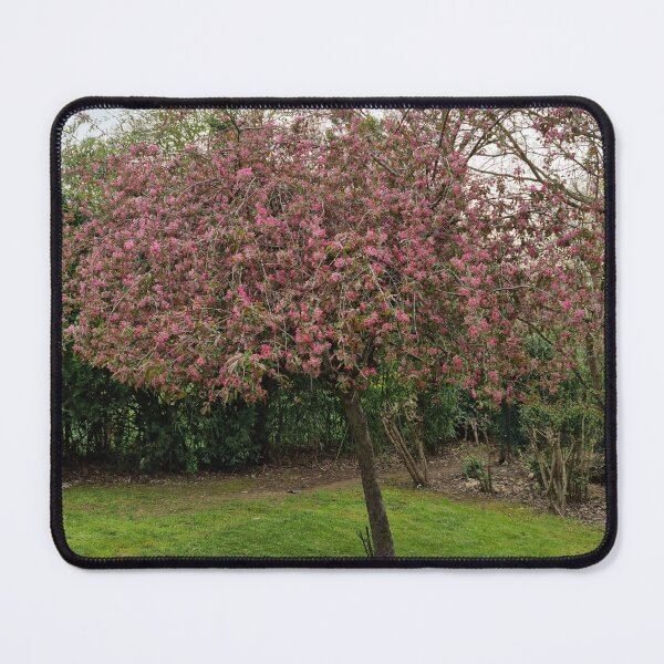 Item preview, A blooming tree in spring designed and sold by EK EXCLUSIVE.
